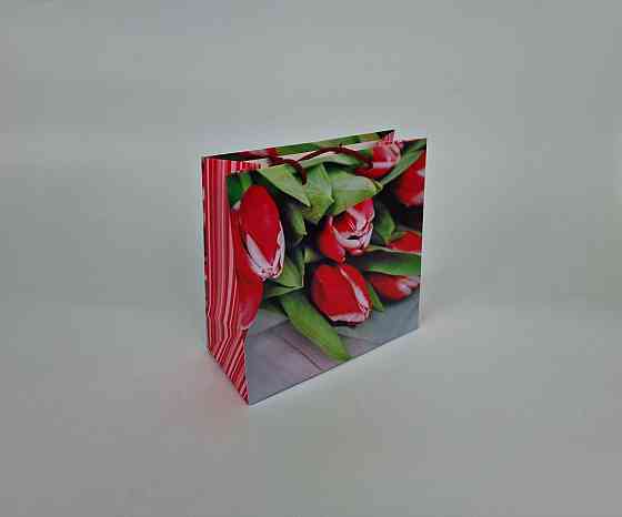 Пакет бумажный подарочный квадратный 23*24*10(артKV-058) (12 шт) Харьков