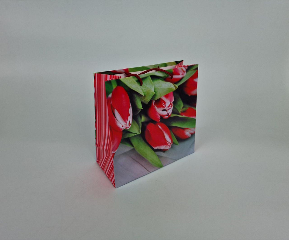 Пакет бумажный подарочный квадратный 23*24*10(артKV-058) (12 шт) Харьков - изображение 1