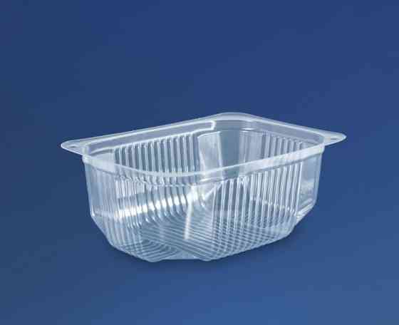 Блистерная упаковка для пищевых продуктов с крышкой ПС-160 на 500 мл Павлоград