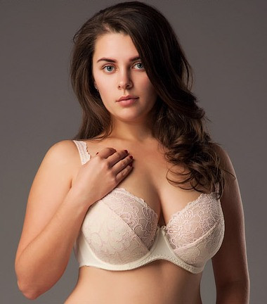 БЮСТГАЛЬТЕР 1186 Київ - фото 2