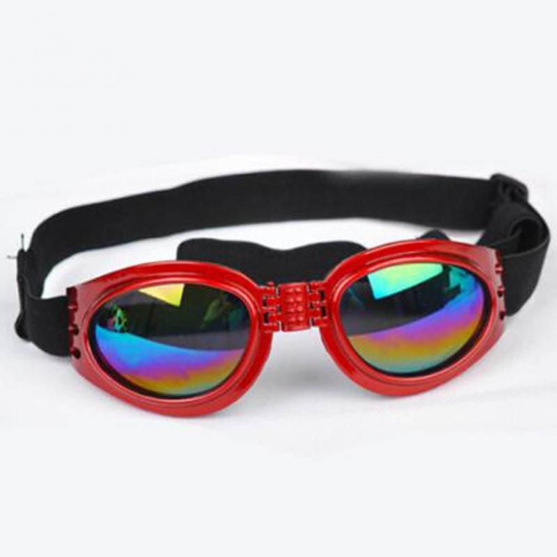 Очки для собак красные Киев - изображение 2