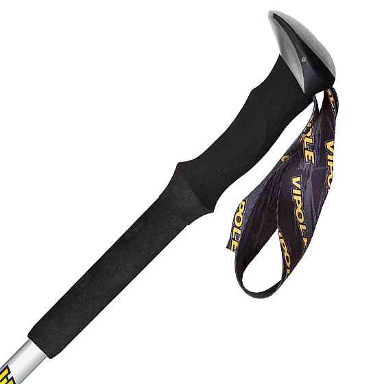 Палки трекинговые Vipole Climber Long AS DLX (S25 18) Вінниця