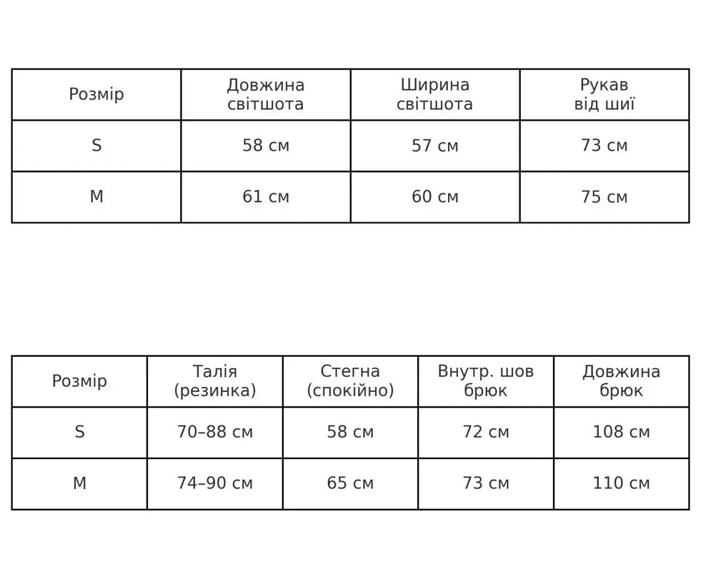 Костюм женский A-N 27063 свитшот и джогеры оверсайз с вышивкой бежевый, бежевый, M Киев - изображение 20