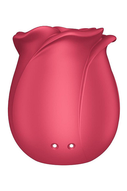 Вакуумний стимулятор - Satisfyer Pro 2 Classic Rose Sex Aura Київ - фото 6