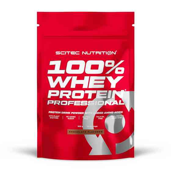 100% Whey Protein Professional (500 g, ice coffe) Луцк