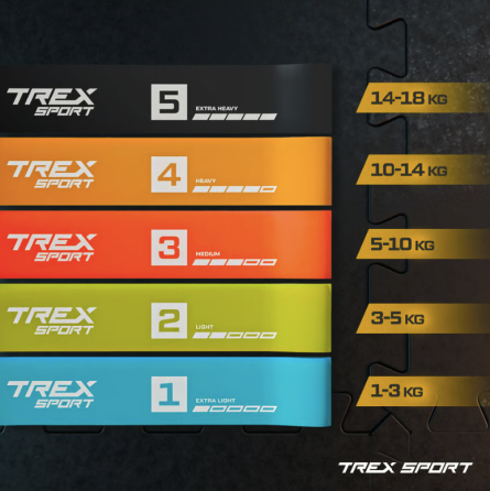 Набір резинок для фітнесу Trex Sport TX-065RBV 1-18кг Київ