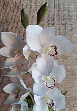 Штучна латексна орхідея цимбідіум у керамічному кашпо біла Дніпро