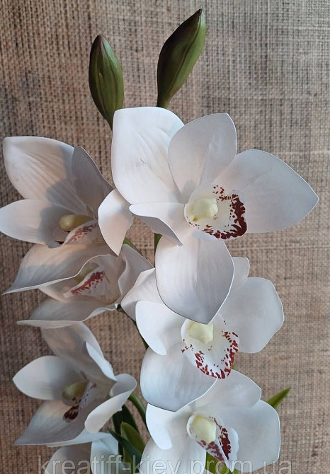 Штучна латексна орхідея цимбідіум у керамічному кашпо біла Дніпро - фото 2