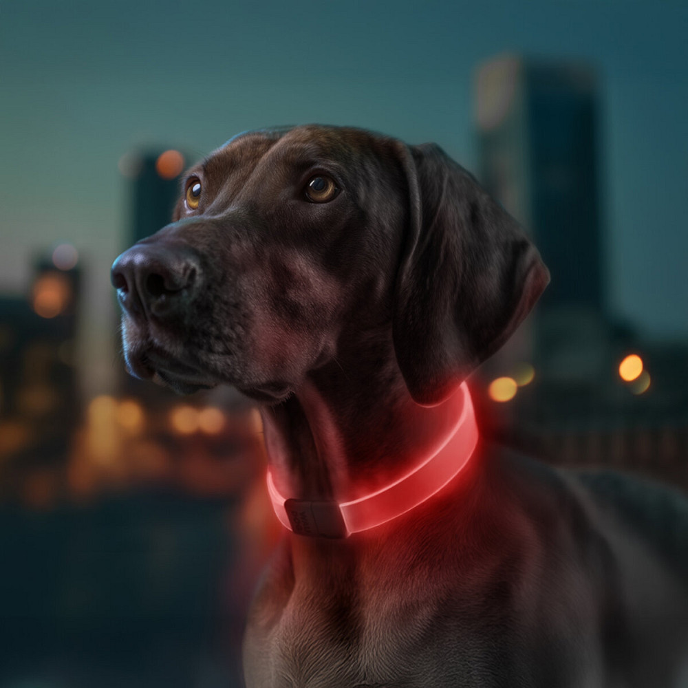 Ошейник для собак с подсветкой WAUDOG LED, RGB, Type-C, регулируемый, Ш 25 мм, Длин 60 см Киев - изображение 4