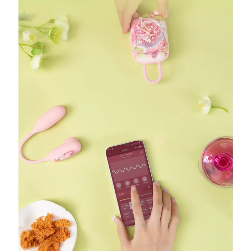 Віброяйце та вакуумний стимулятор для клітора 2в1 BeYourLover Magic Suitcase у зарядному кейсі Sex Aura Київ - фото 7