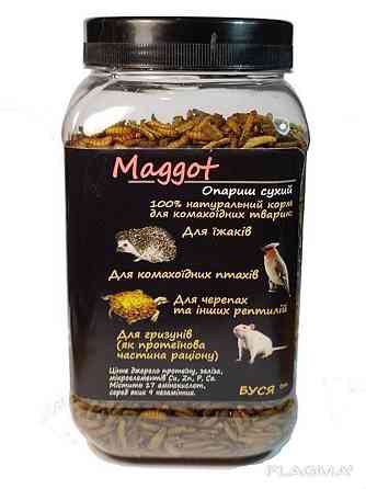 Опариш сухий "Maggot" тм Буся. Корм для черепах, рептилій, їжаків, птахів, гризунів. 600мл/250г Зміїв