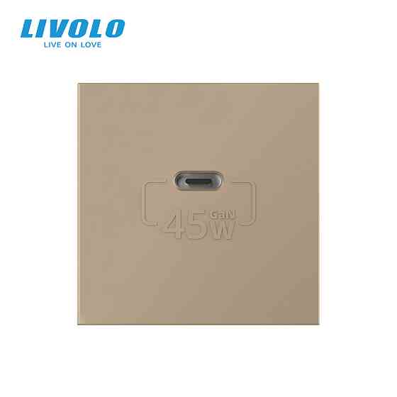 LIVOLO USB Type-C розетка LIVOLO, PD 45W, Power Delivery, швидка зарядка, золота, модуль (VL-FC Коломия