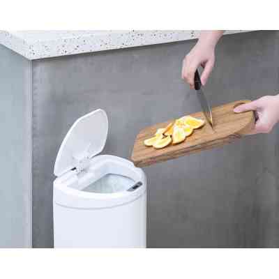 Контейнер для мусора Xiaomi Ninestars Sensor Trash Can (DZT-10-29S) Винница