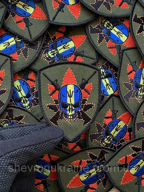 Шеврон Черепок (Форма щит. На липучці) Розмір 8x6см Київ - фото 4