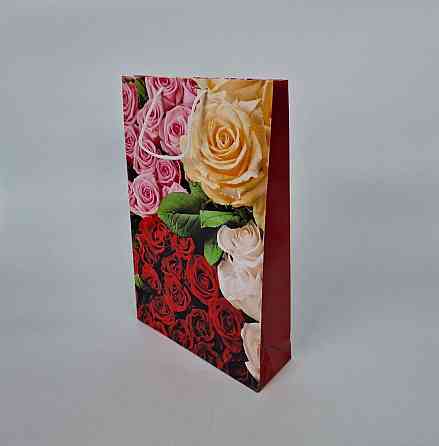 Великий паперовий пакет вертикальний 25/37/8 (артBV-005) (12 шт.) Харків