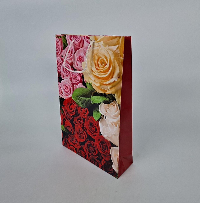 Великий паперовий пакет вертикальний 25/37/8 (артBV-005) (12 шт.) Харків - фото 1