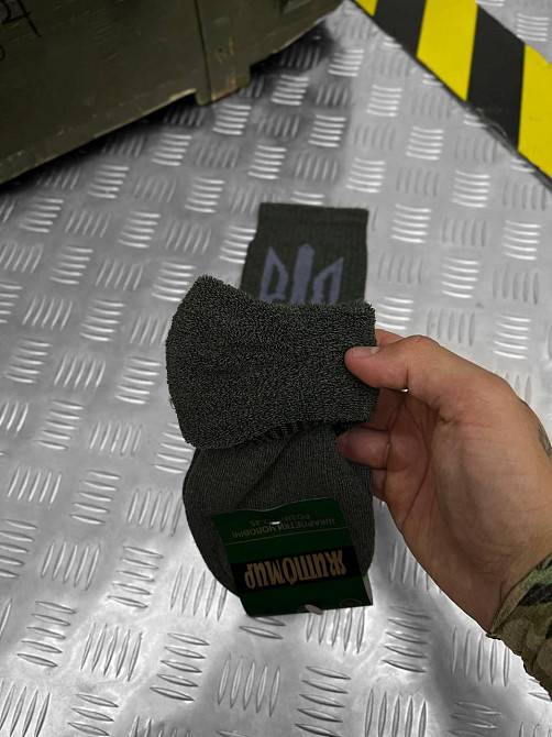 Трекинговые  мужские носки с гербом ВТ7628 Одесса - изображение 3