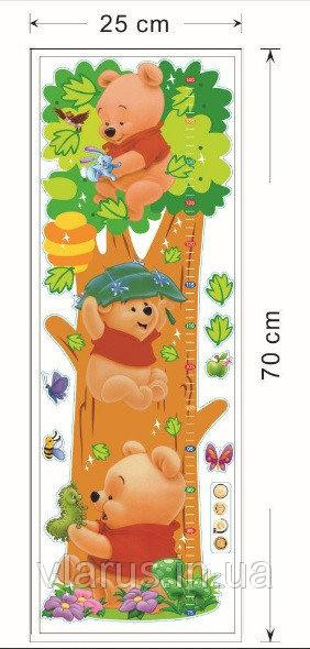 Наклейка ростомір на стіну Вінні Пух Київ - фото 3