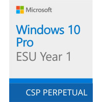 Операційна система Microsoft Windows 10 ESU Year 1 (2025 - 2026) Extended Security Updates (ESU) (DG7GMGF0SSGZ_0004) Киев - изображение 1