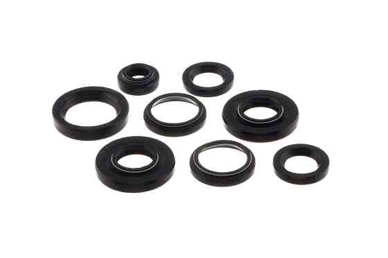 Сальники (набір) ІЖ ПЛАНЕТА (8шт) JING (mod.A) Киев