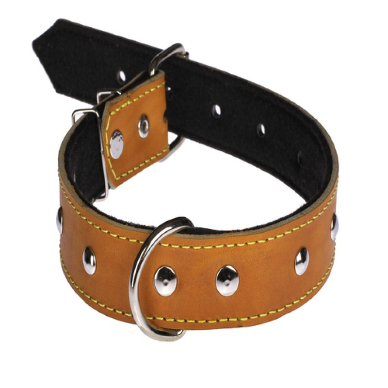 Нашийник 515 35 мм "Класик" шкіра+синтепон прикрашен Вінниця - фото 1