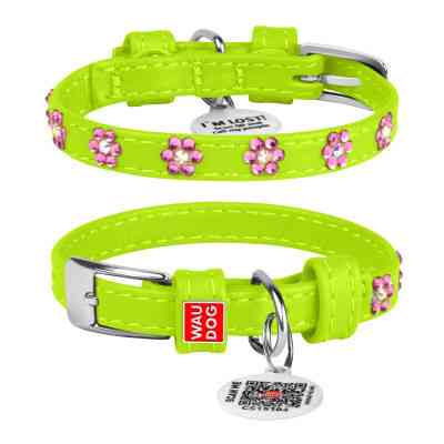 Ошейник для животных WAUDOG Glamour с QR-паспортом "Цветы" XS Ш 15 мм Д 27-36 см салатовый (32845) Винница