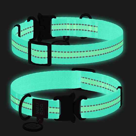 Нашийник для собак нейлоновий WAUDOG Nylon з QR паспортом, світлонакопичувальний/світловідбивни Коломия