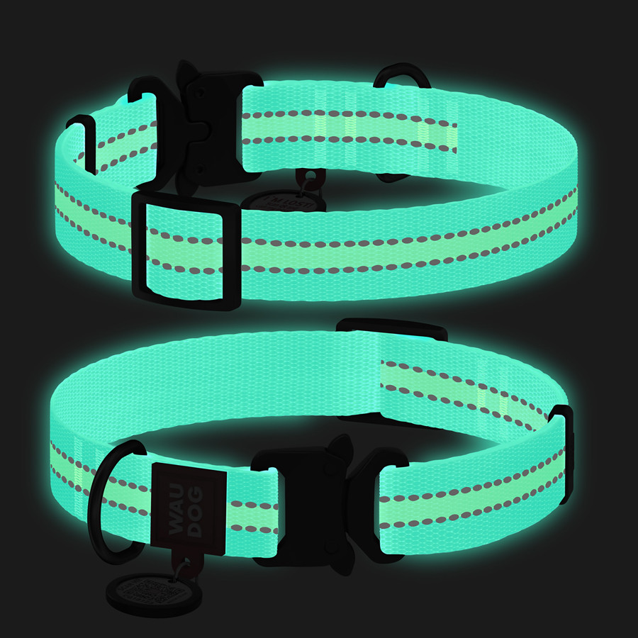 Нашийник для собак нейлоновий WAUDOG Nylon з QR паспортом, світлонакопичувальний/світловідбивни Коломия - фото 1