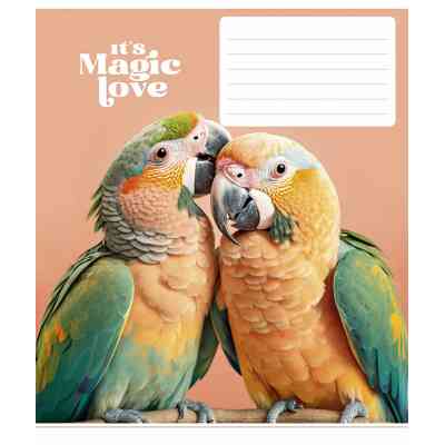 Зошит Школярик It's a magic love 12 аркушів лінія (012-3300L) Вінниця