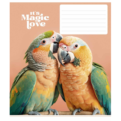 Зошит Школярик It's a magic love 12 аркушів лінія (012-3300L) Вінниця - фото 1