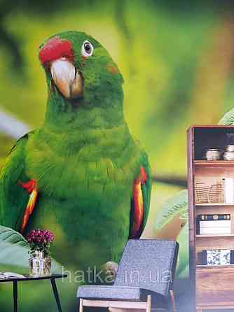 Шпалери вінілові на флізелін тварини птахи риби Київ