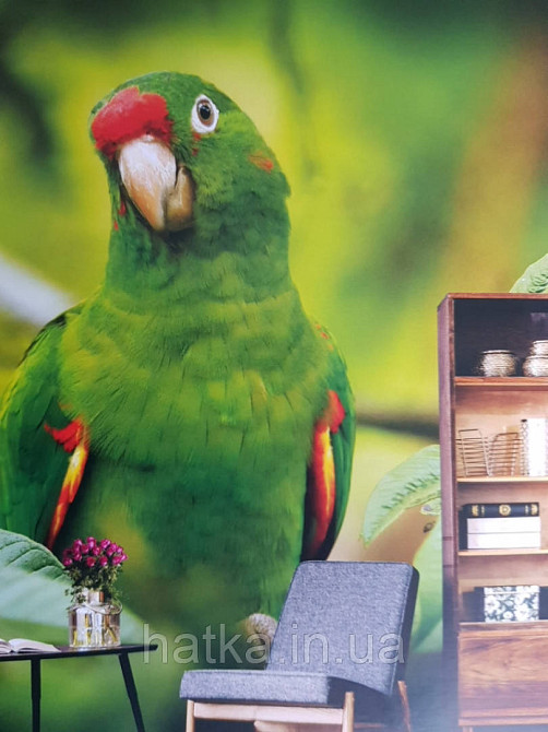 Шпалери вінілові на флізелін тварини птахи риби Київ - фото 2