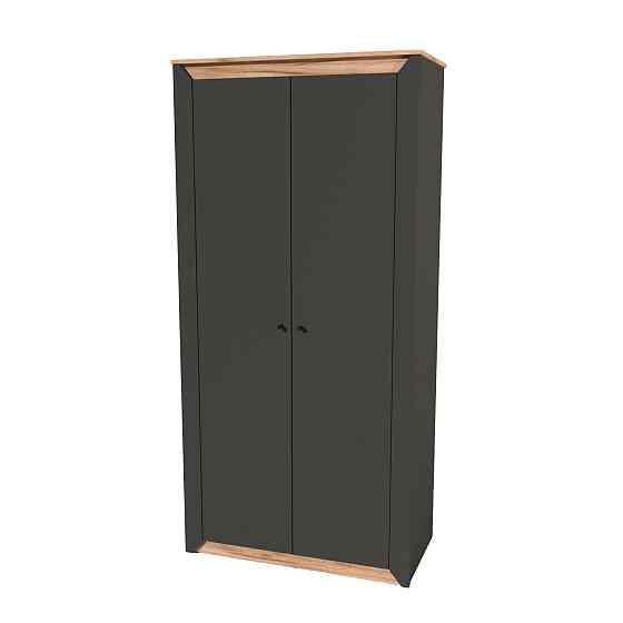 Шафа дводверна Еверест Нордік-990 Графіт + Дуб крафт золотий (DTM-5536) Львів