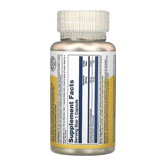 Пантотеновая кислота Solaray Pantothenic Acid 250mg 100 капс Киев