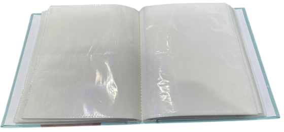 Фотоальбом UFO 10x15x200 PP-46200 Silver Rings (7112483) Київ