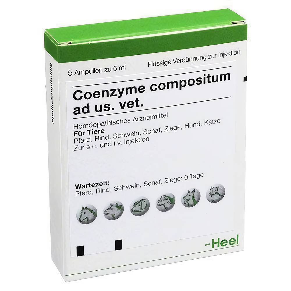 Coenzyme compositum (Коензим композитум) ветеринарний 5 мл №5, Heel Вінниця - фото 1