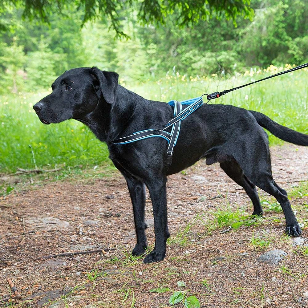 Нейлонова шлейка світловідражаюча норвезького типу для собак Ferplast Sport Dog P (Ферпласт Спорт Дог П) A: 58 см - B: 69 int 86 см - M, Сірий Запоріжжя - фото 9