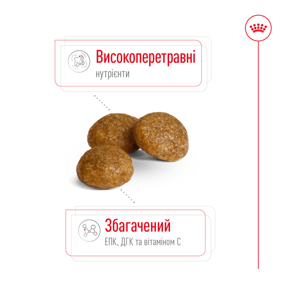 Сухий корм для дорослих собак дрібних порід ROYAL CANIN XSMALL ADULT 0.5 кг Київ