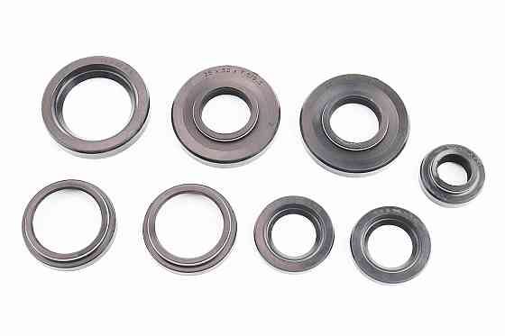 Сальники к-кт 8шт (16,5x30x7/10; 22x36,5x6-2шт; 25x52x7,5/9,5-2шт; 34x43,4x5/8-2шт; 36x52x9) Планета Київ