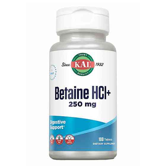 Betaine HCl Plus 250mg - 100 tabs Луцк