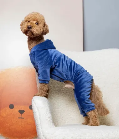 Костюм для собак велюровий Dogs Bomba з капюшоном трикотаж весна-осінь для середніх порід Кураж Синій 5 Одеса