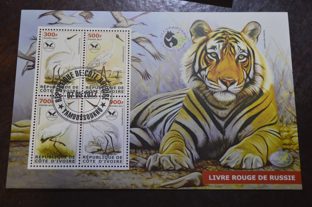 Кот Дивуар. Фауна. Марки. Блок. 2017 год (А-10) Полтава - изображение 1