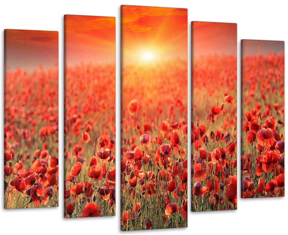 Модульная картина Поле Маки Art-63_5 99x140 см Киев - изображение 1