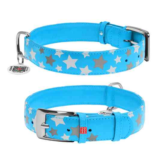 Нашийник для собак шкіряний WAUDOG Glamour з QR паспортом, візерунок "Зірочка", світлонакопичув Коломия