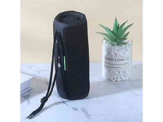 Портативна колонка Bluetooth TG365, з функцією speakerphone, радіо, black ТМ TG Київ