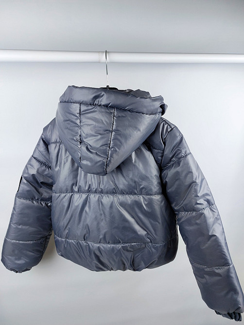 Демисезонная серая куртка под резинку The North Face на 6,7,8 лет Николаев - изображение 4