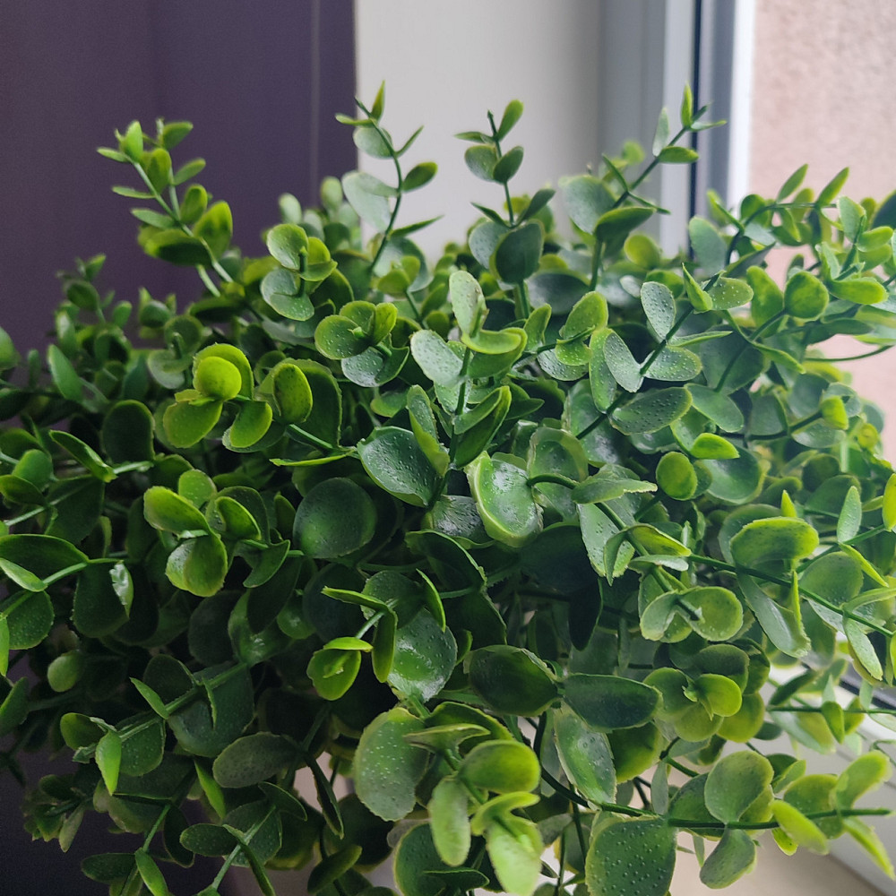 Штучний кущ  Самшиту із латексу Дніпро - фото 4