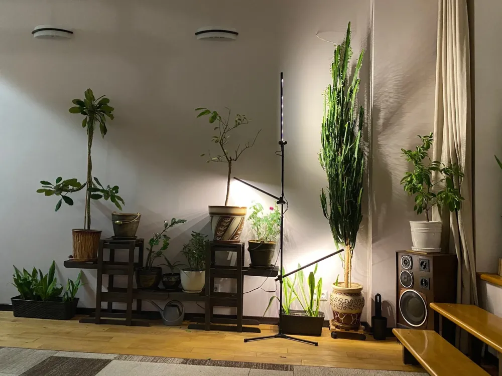 Підлоговий світильник для кімнатних рослин і декору IO-3 Бориспіль - фото 3