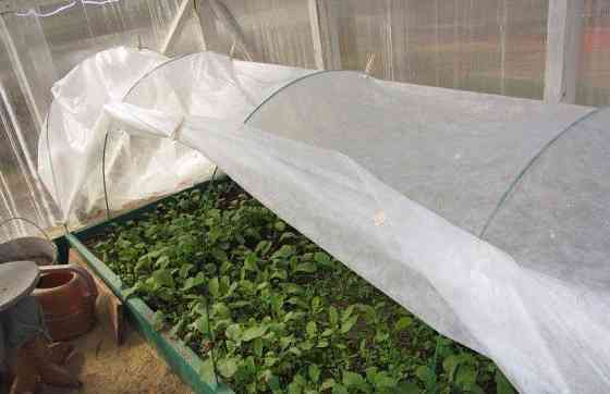 Полотно 3м  60 г/м2 щільності агроволокно змінне  прошите для парника Дніпро