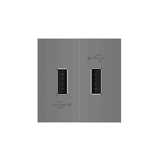 Подвійна розетка USB LIVOLO сіра, з блоком живлення 2×USB-A 5V/2.1A, 2×10Вт, модуль (VL-FCUA-2IP) Коломыя